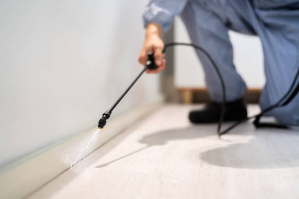 Rodent Entry Point Assessment in Hamilton