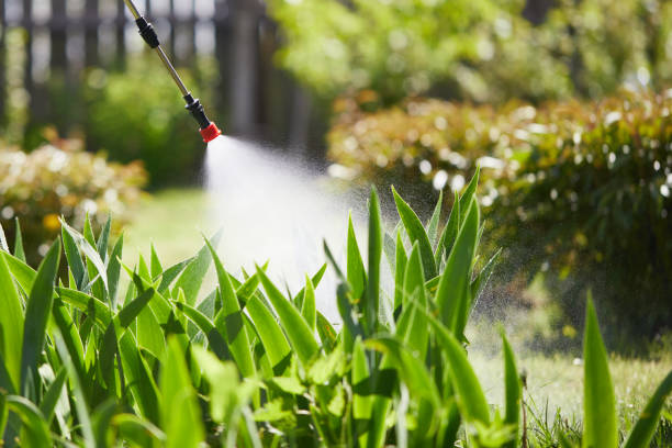 Tamper-Resistant Bait Stations for Rodents in Hamilton